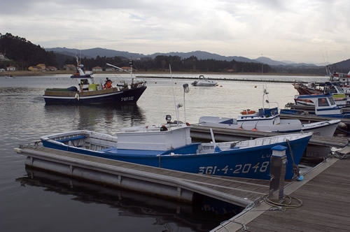 Puerto deportivo