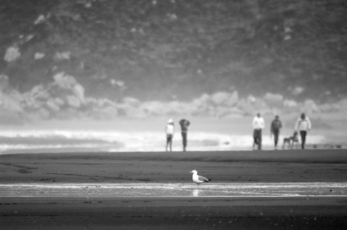 Playa Los Quebrantos en B/N